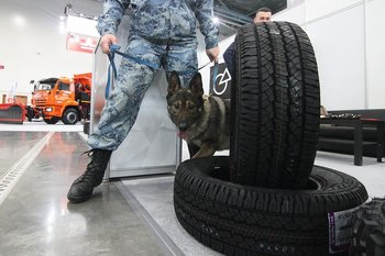 Роскачество выявило опасные канцерогены в китайских шинах