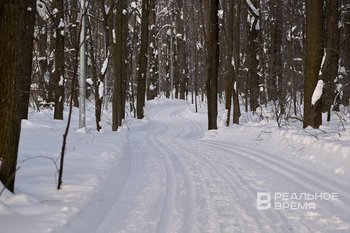 Спасатели Татарстана эвакуировали из леса 75-летнюю лыжницу с травмой
