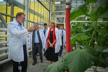 Оксана Лут об отечественной селекции: прорыв ожидаем по подсолнечнику, сахарной свекле