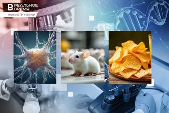 Борьба с супербактериями, наследуемая прокрастинация, иммунотерапия против рака