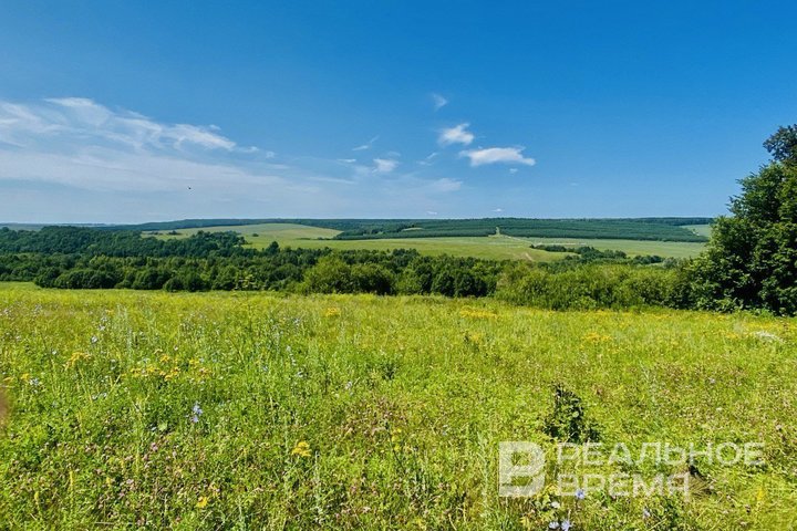 В Татарстане ликвидировали крупный очаг дикорастущей конопли