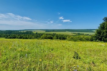 В Татарстане ликвидировали крупный очаг дикорастущей конопли