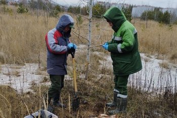 Казанский жировой комбинат выплатит почти 3 млн рублей за загрязнение почвы сточными водами