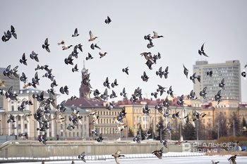 Казань попала в топ-5 городов для поездок на 8 Марта