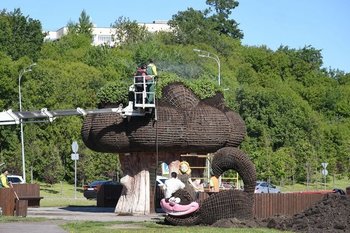 В Казани начались работы по цветочному оформлению городских улиц