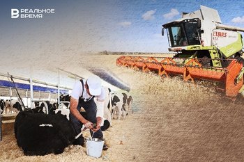 «Я считаю, это сговор!»: фермеры жалуются на проблему сбыта продукции