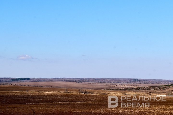 Российская ПВО уничтожила более 80 дронов за ночь
