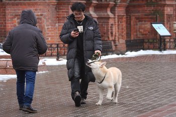Тепло в Татарстане уступит место морозам к началу следующей недели