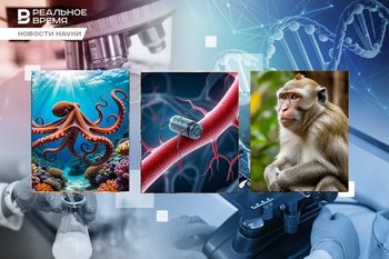 Нанороботы для лечения рака, самая древняя галактика, возвращение молодости