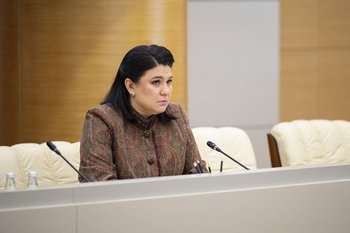 Талия Минуллина: 90% частных инвестиций Татарстана приходятся на 10 районов