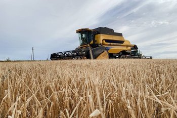 В Альметьевском районе собрали 94% зерновых культур, несмотря на сложные погодные условия