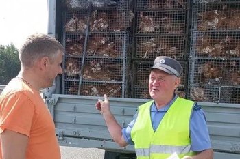 С начала года в Татарстане выявлено 58 нарушений правил перевозки животных