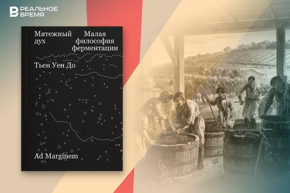 Как ферментация создала современную кухню