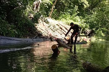 За два года Казанку очистили от объема древесины размером с пятиэтажку