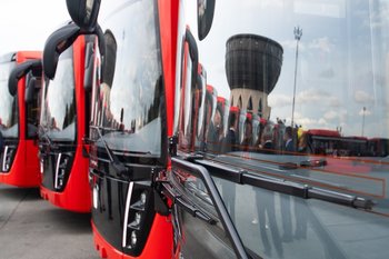 Более полумиллиона дачников воспользовались «сезонными маршрутами» летом 2025 года