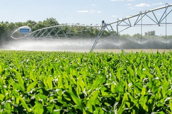 В Татарстане в 2026 году направят почти 13 млрд рублей на развитие сельхоз территорий