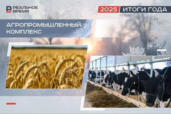 Сокращение зернового клина и генетический прорыв: как аграрии Татарстана завершают год
