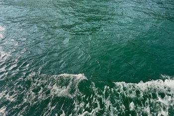 Загрязнение Средиземного моря в районе Аланьи достигло опасных уровней