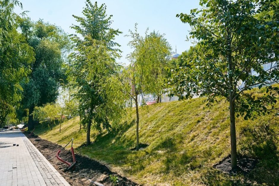 На набережной озера Кабан в Казани высадят 600 крупномеров
