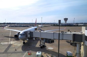 Минтранс урегулировал ситуацию с турецкими Air Anka — пассажиров развозят Turkish Airlines и Corendon