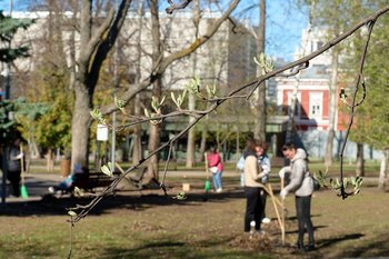 Сегодня в Татарстане ожидается до +15 градусов