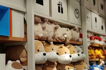 Исследование: спрос россиян на антистресс-игрушки с начала 2024 года поднялся на 21%