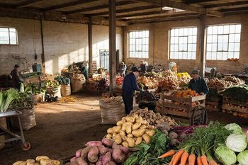 В Татарстане выявили оптовую базу, где торговали контрафактными овощами и фруктами