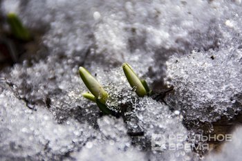 Гидрометцентр спрогнозировал раннюю весну в России