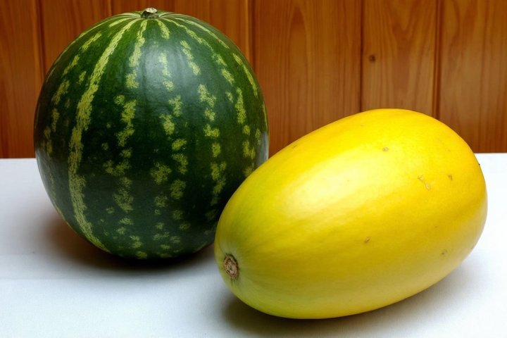 Российские аграрии готовятся к урожаю арбузов и дынь на 1,7 млн тонн