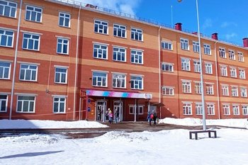 В Красноярске уволили директора школы, где ученица напала на детей