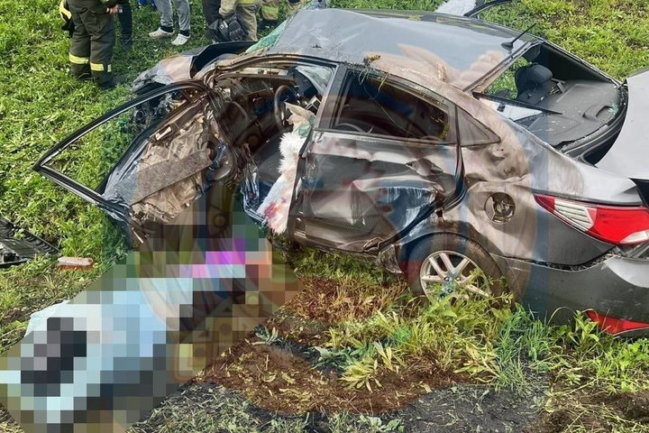 На М-12 «Восток» легковушка столкнулась с грузовиком и угодила в кювет: водитель погиб на месте