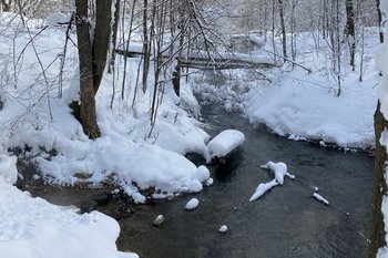 Два татарстанских экопроекта получили президентские гранты почти на 24 млн рублей