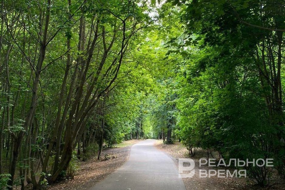 190 километров экомаршрутов появится в Казани