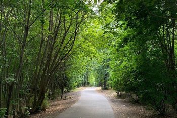 190 километров экомаршрутов появится в Казани