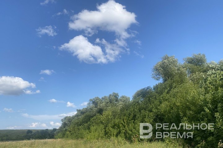 КФУ запустит программы для решения кадровой проблемы в сфере охраны природы