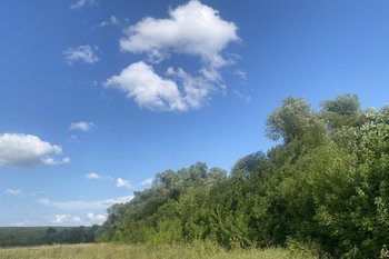 КФУ запустит программы для решения кадровой проблемы в сфере охраны природы