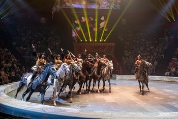 В Казанском цирке лошадь упала вместе с наездником во время представления