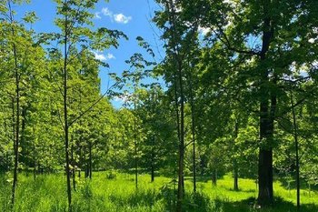 В Татарстане созданы два новых природных заказника: «Мокрые Курнали» и «Болото сфагново-верховое»