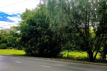 В Татарстане объявлена высокая пожарная опасность лесов