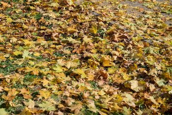 Вильфанд: жителям ПФО стоит приготовиться к заметному понижению температуры