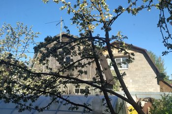 Лишний балл: Минсельхозу Татарстана «предъявили» сговор с Союзом садоводов