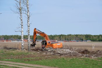Татарстан обогнал Россию и ПФО по проценту восстановления вырубленных лесных насаждений