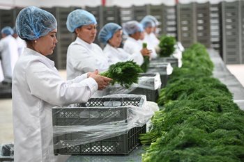 АПК России нуждается в 160 тысячах новых специалистов ежегодно