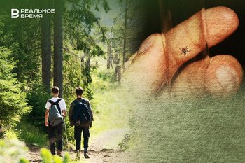 Они проснулись: в Татарстане зафиксировали первые семь укусов клещей