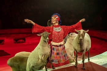 Комитет Госдумы не поддержал запрет на использование животных в цирках