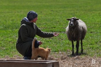 43 тысячи татарстанских пенсионеров получают доплату за работу в селе