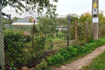 В России вводится запрет на сплошные заборы в дачных товариществах