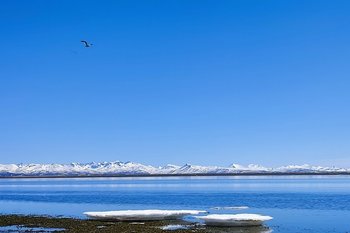У берегов Камчатки зафиксировали землетрясение магнитудой 6,2
