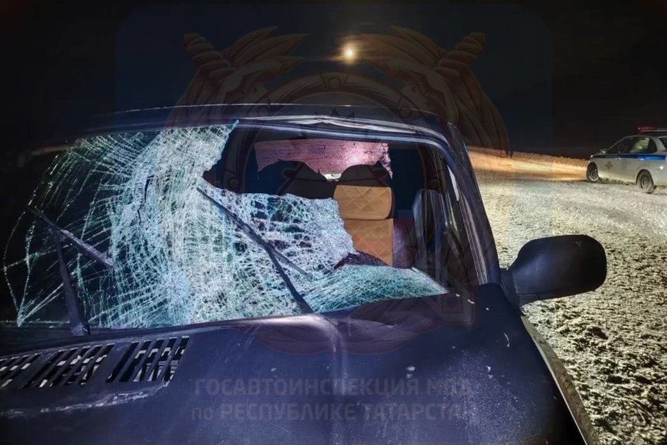 Пешеход погиб под колесами автомобиля в Татарстане