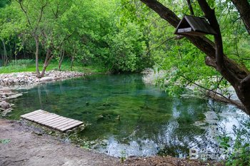 В эту субботу пройдет акция по очистке Голубого озера от борщевика